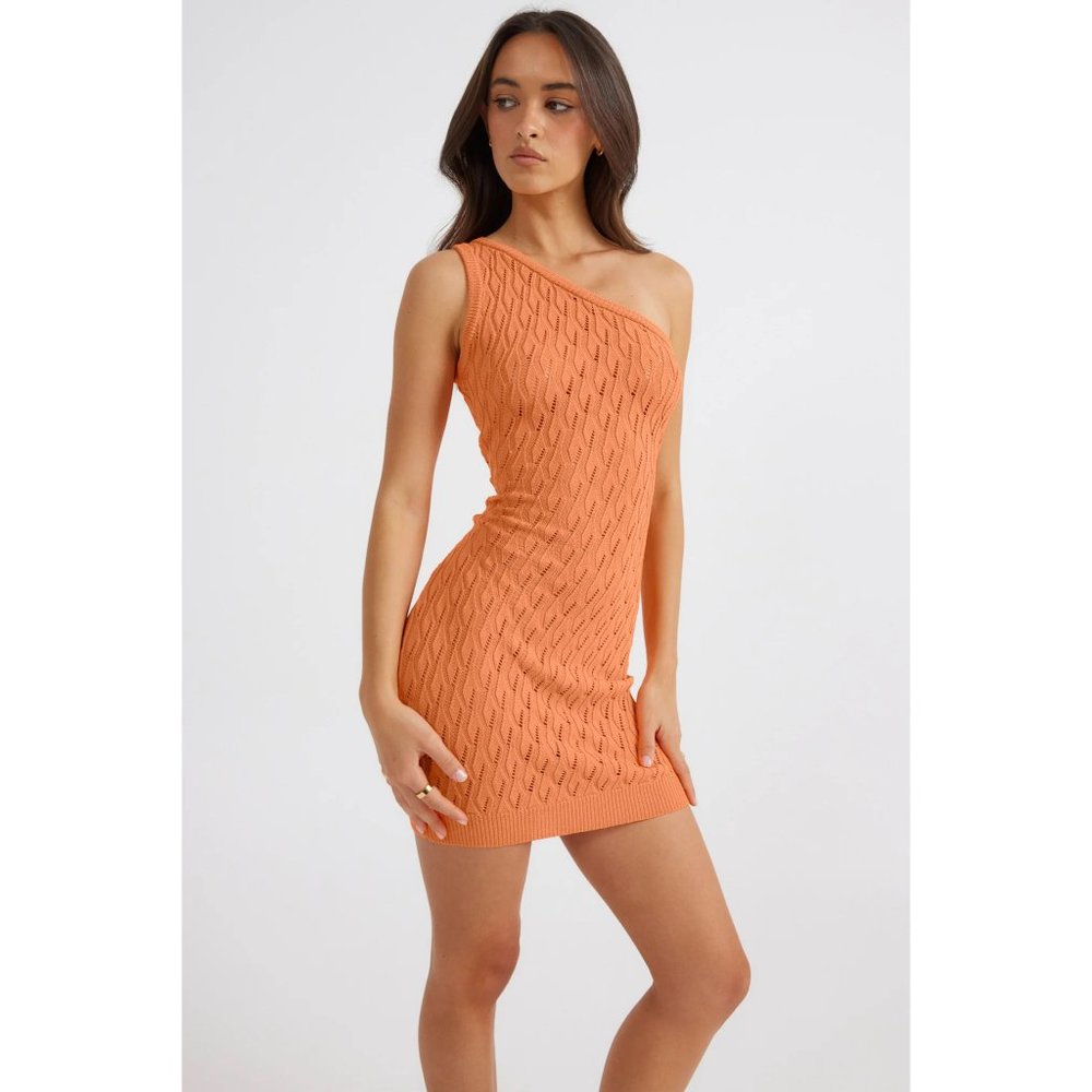 NWT Claire One Shoulder Mini Dress